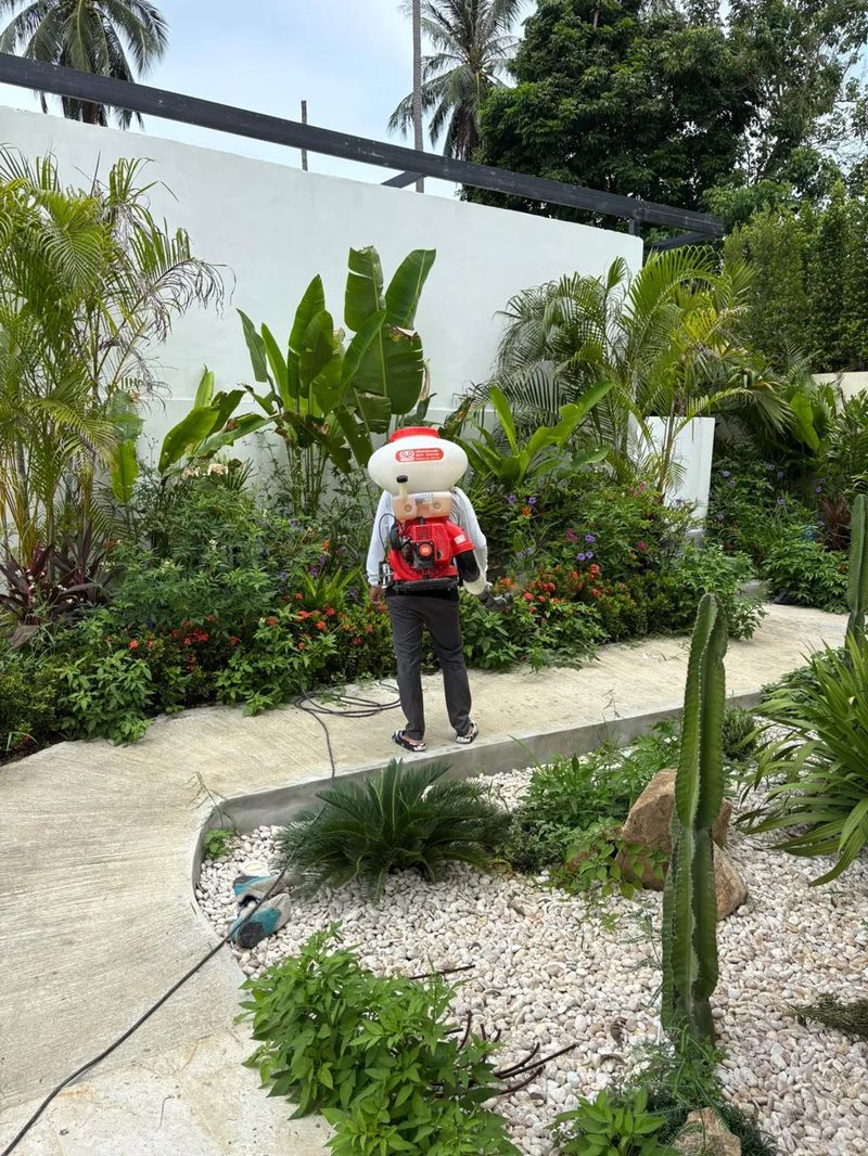 Vida Group Samui technician treating a villa garden for pests in Koh Samui