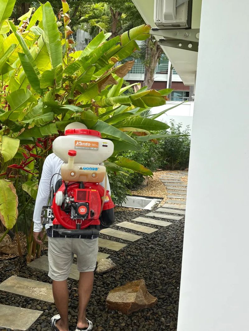 Backpack mist duster pest control treatment at a villa in Bo Put, Koh Samui